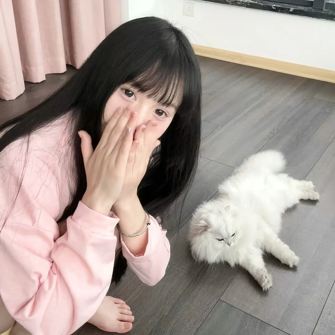 肖邦 在线观看